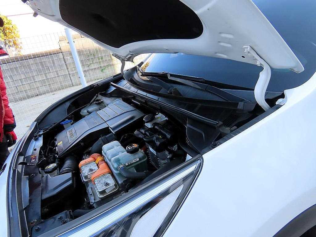 KIA Niro 2020 - Importación desde Corea - HF Imports Iquique - Foto 19