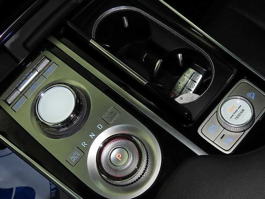 Genesis GV80 - Vista 12