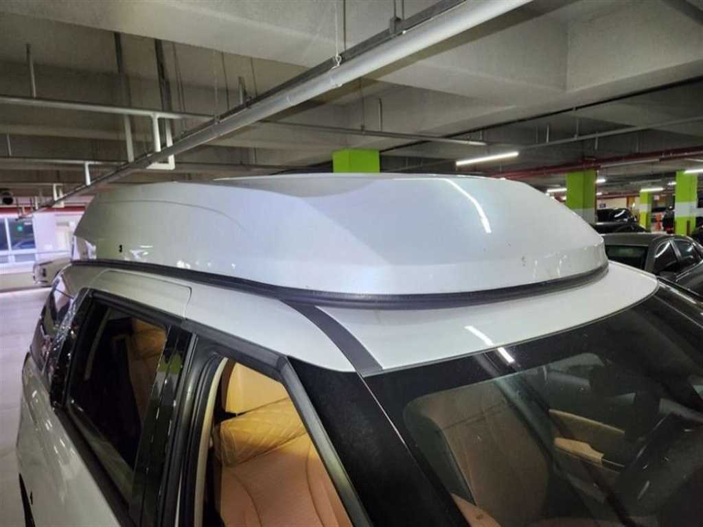 KIA Carnival - Vista 10