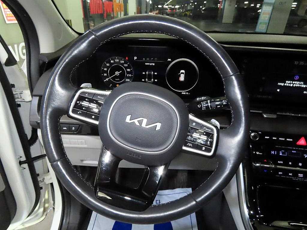 KIA Carnival - Vista 8