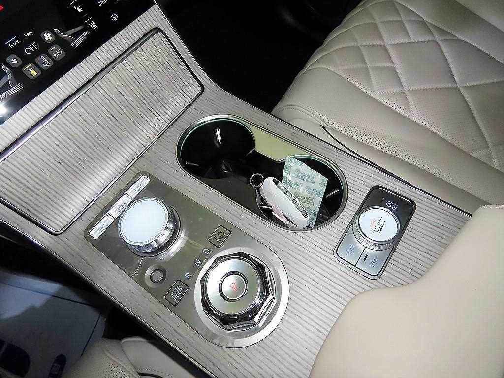 Genesis GV80 - Vista 12