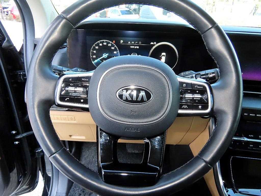 KIA Carnival - Vista 9