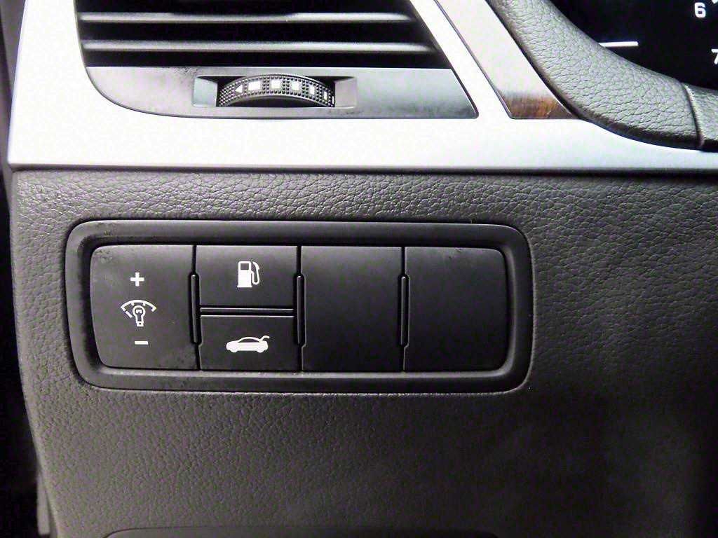 HYUNDAI Genesis - Vista 11