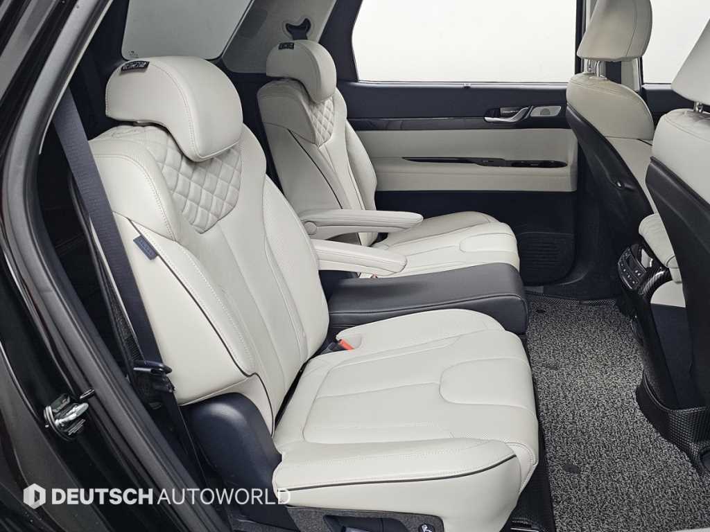 HYUNDAI Palisade - Vista 12