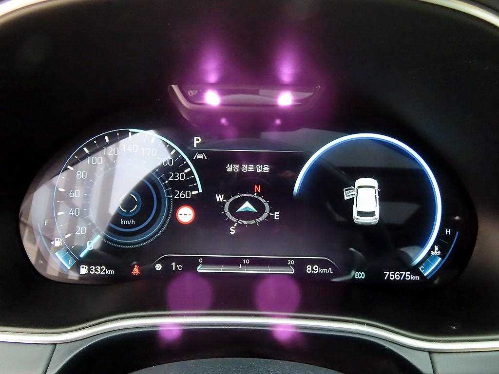 Genesis GV80 - Vista 9