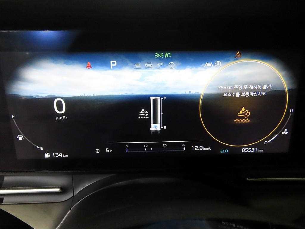 KIA Carnival - Vista 9