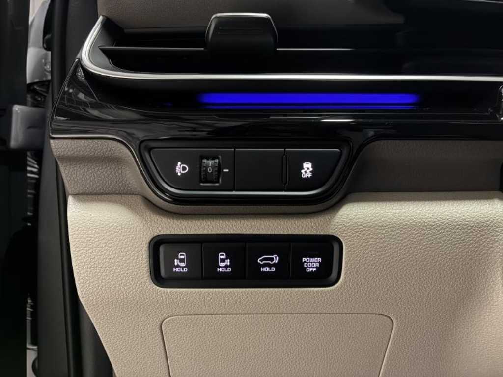 KIA Carnival - Vista 11