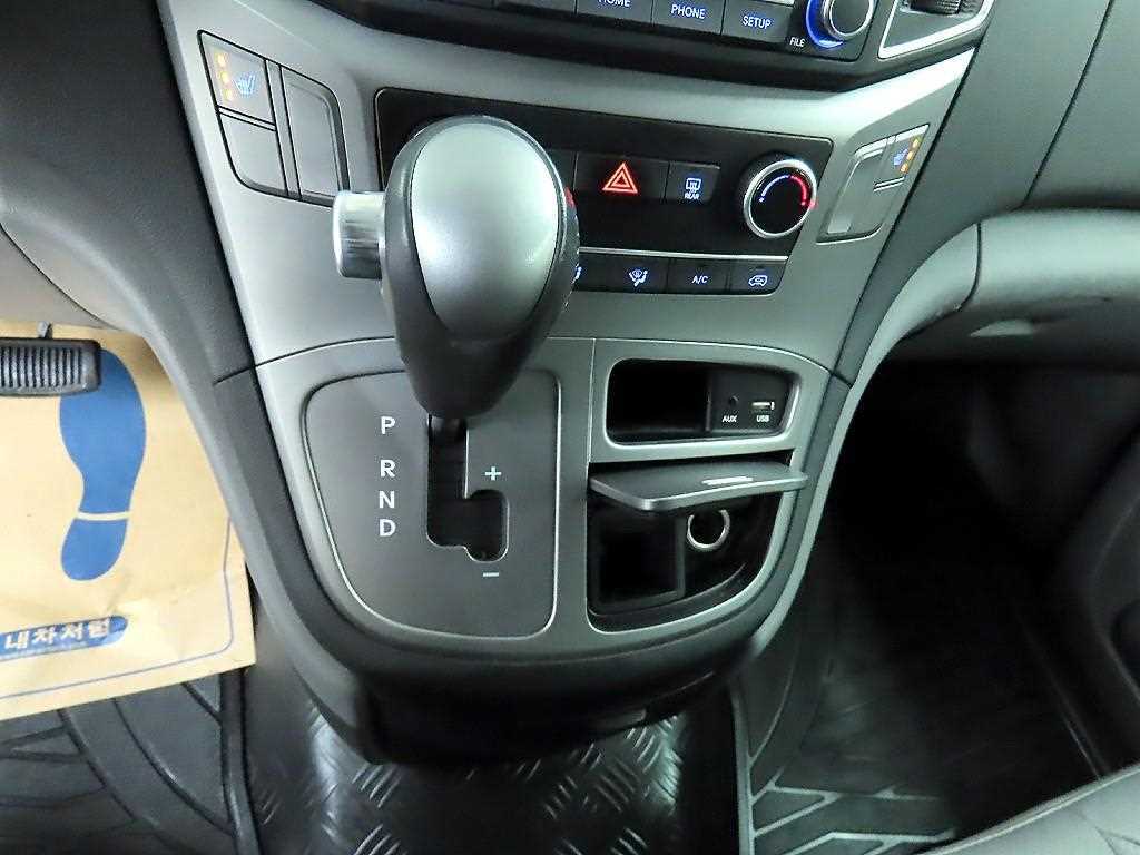 HYUNDAI Starex - Vista 10