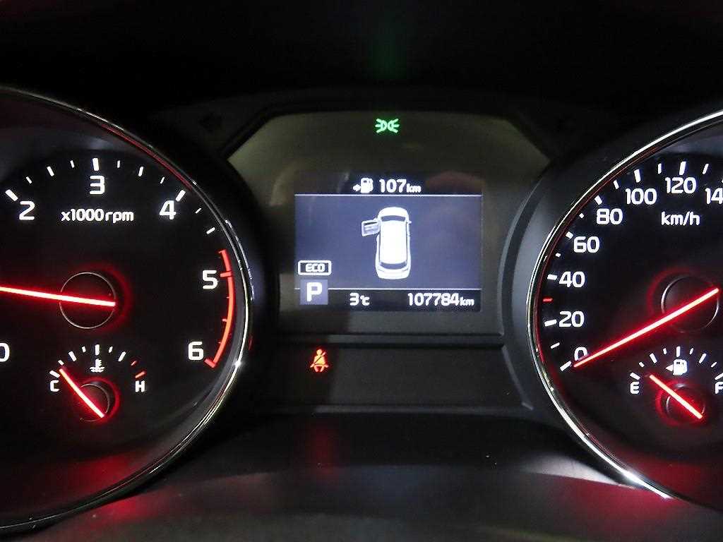 KIA Carnival - Vista 9