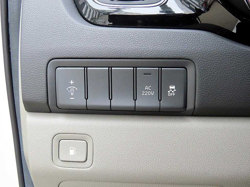 KIA Carnival - Vista 12