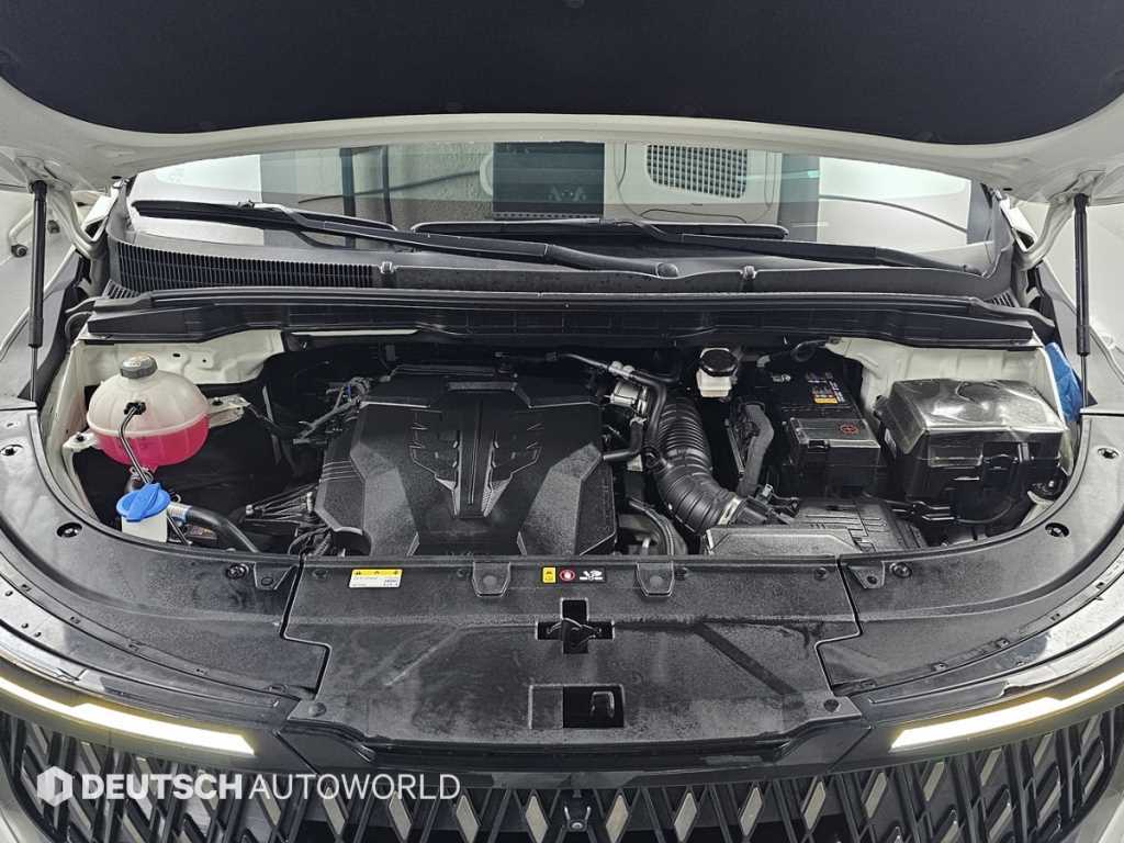 KIA Carnival - Vista 6