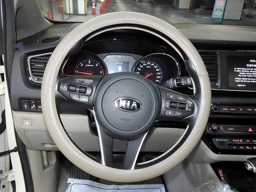 KIA Carnival - Vista 8