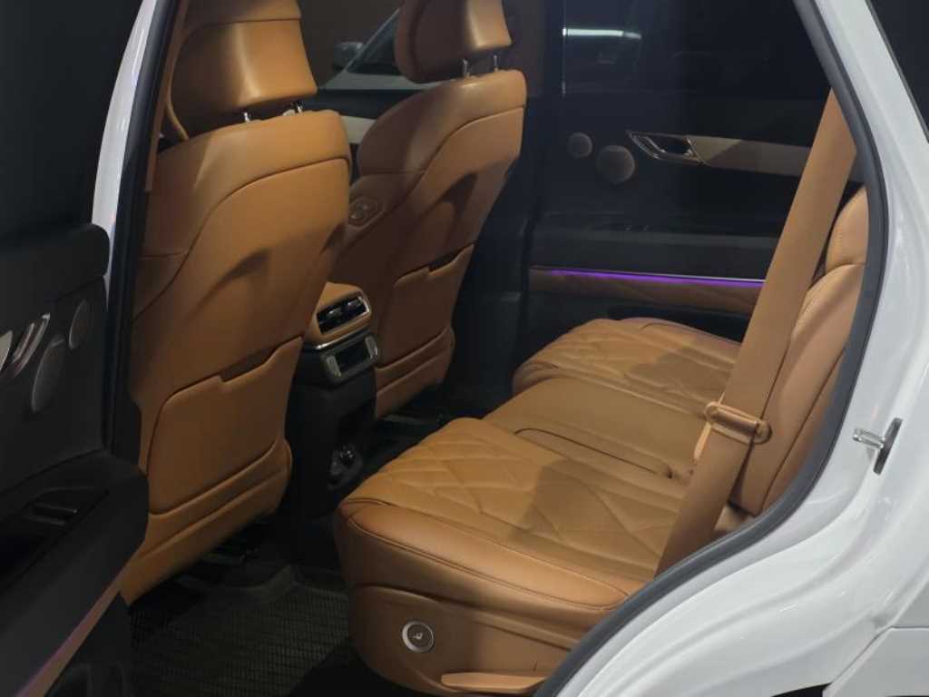 Genesis GV80 - Vista 10