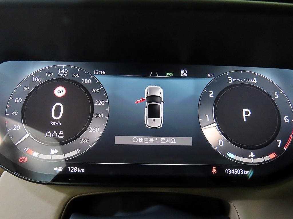 Land Rover Range Rover Sports - Vista 9