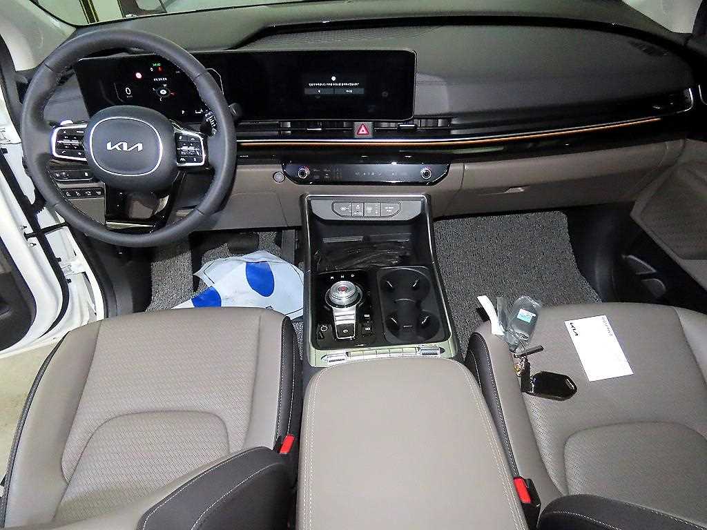 KIA Carnival - Vista 10