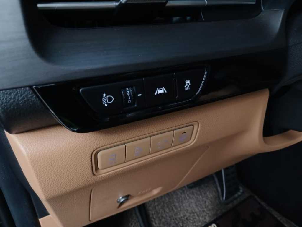 KIA Carnival - Vista 9