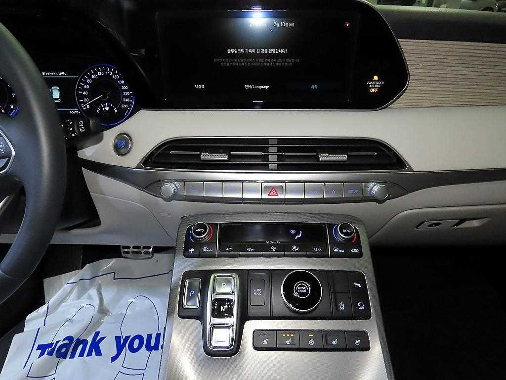 HYUNDAI Palisade - Vista 11