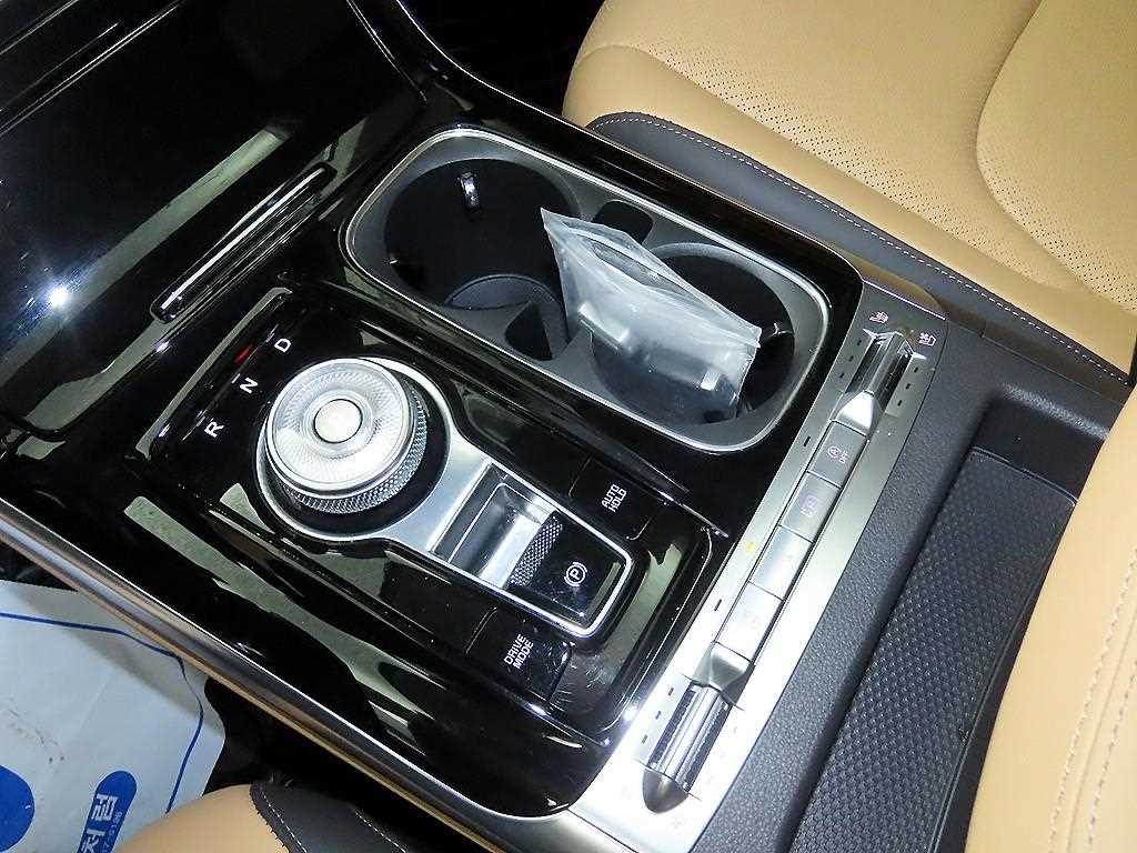 KIA Carnival - Vista 12