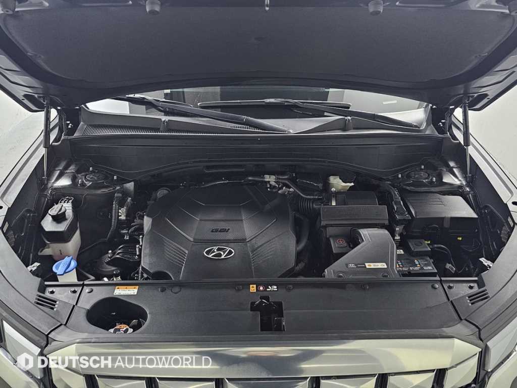 HYUNDAI Palisade - Vista 6