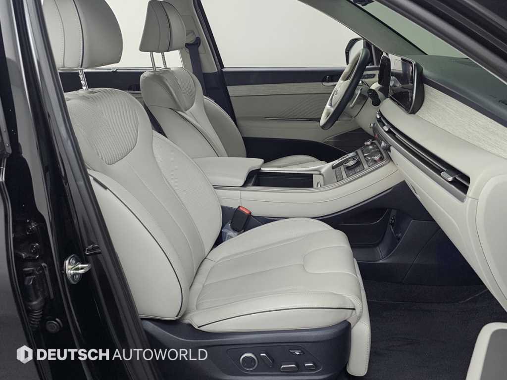 HYUNDAI Palisade - Vista 10