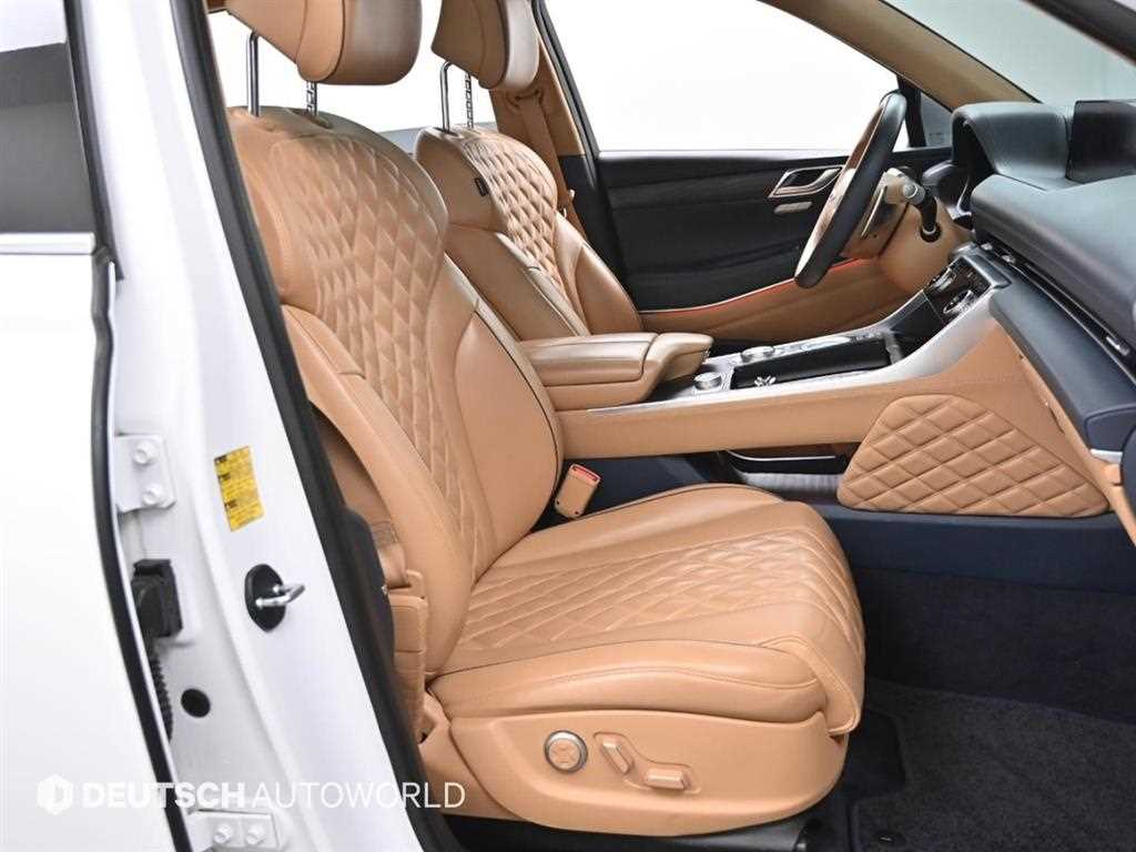 Genesis GV80 - Vista 10