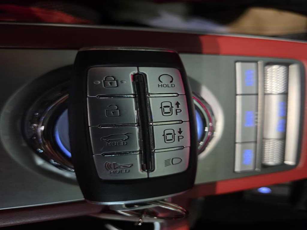 Genesis GV70 - Vista 12