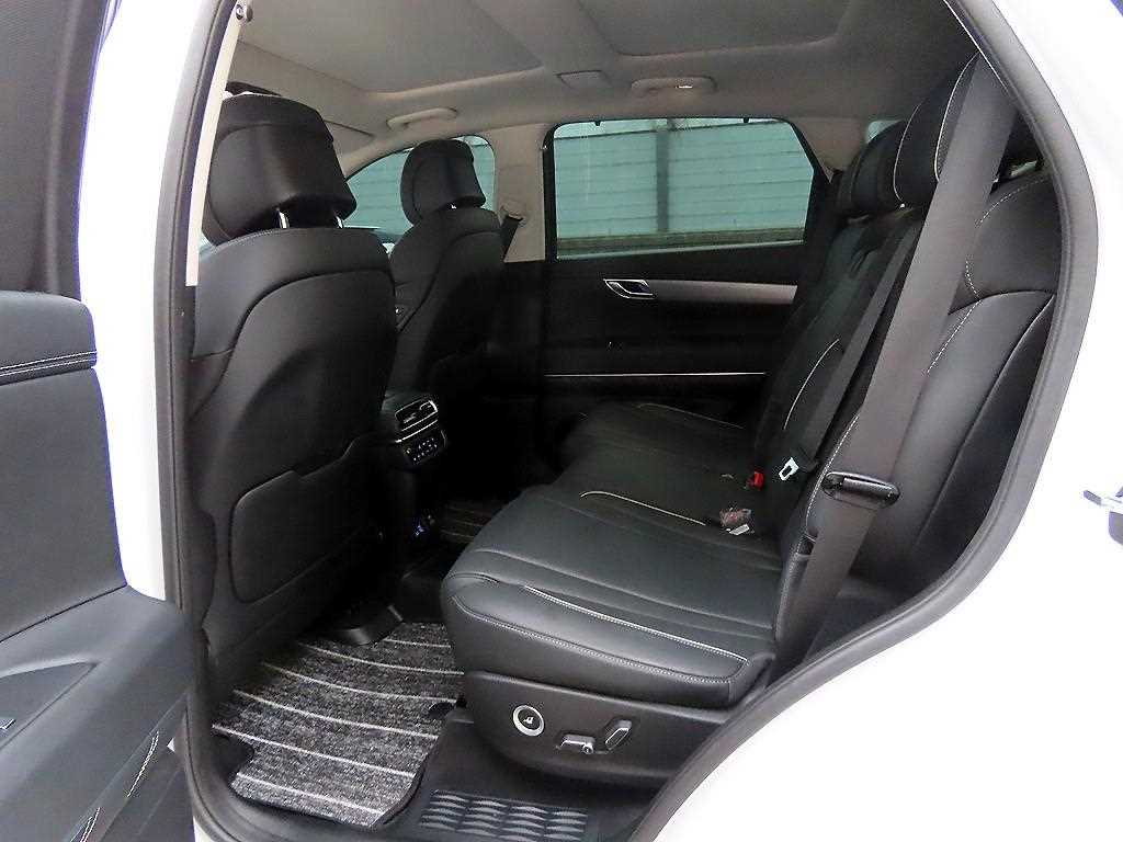 Genesis GV80 - Vista 6