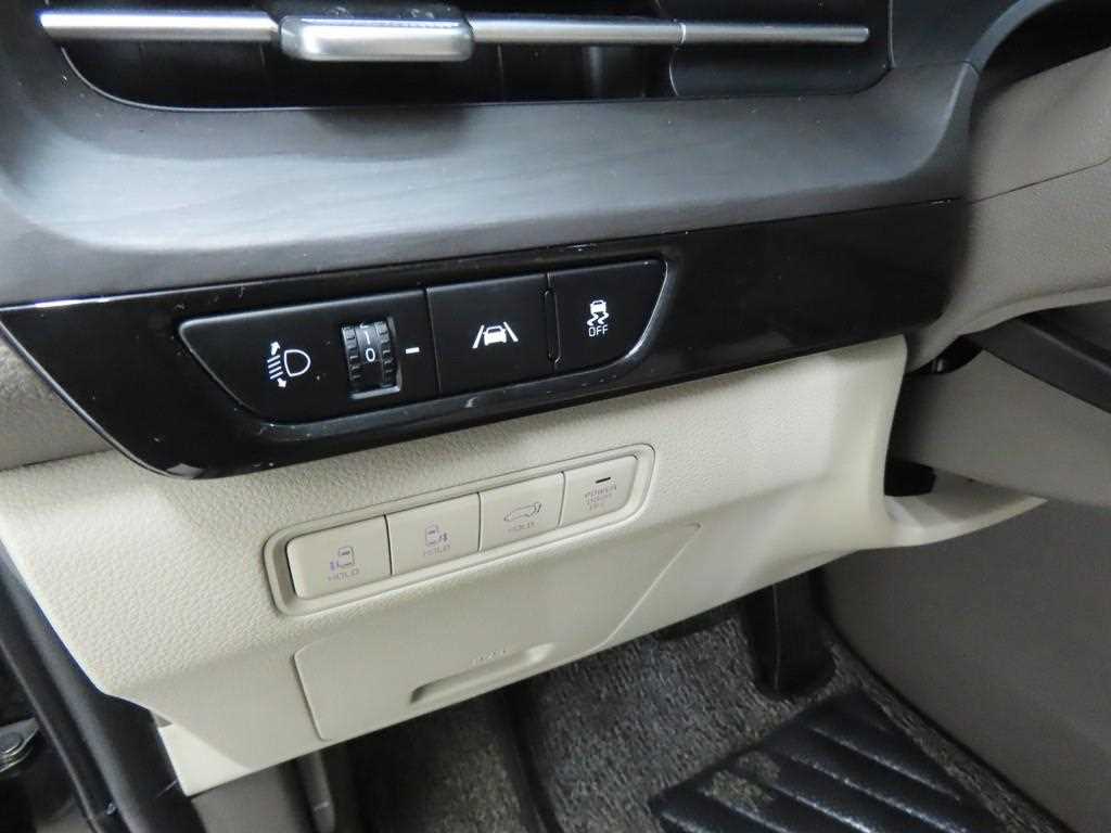 KIA Carnival - Vista 10