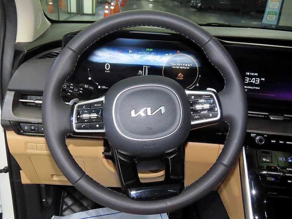 KIA Carnival - Vista 8