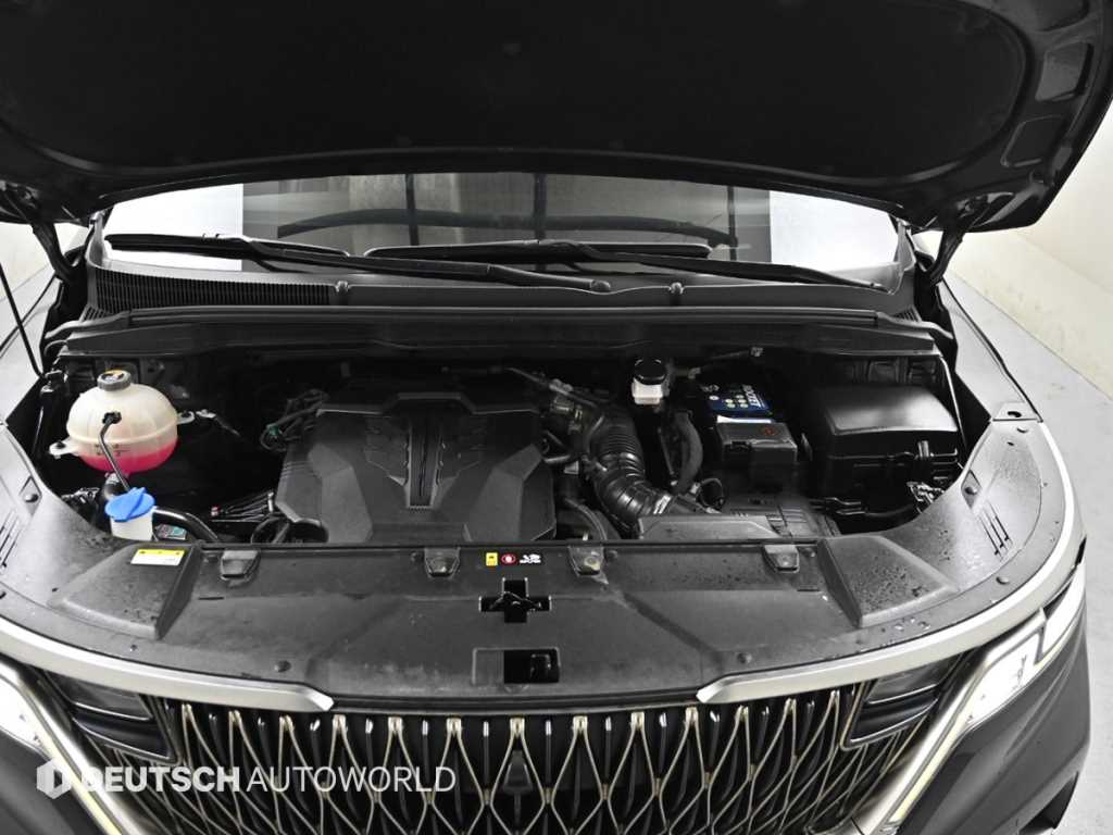 KIA Carnival - Vista 6