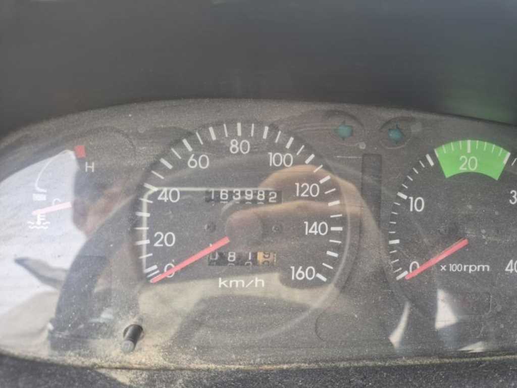 medium and large cargo Rory - Vista 5