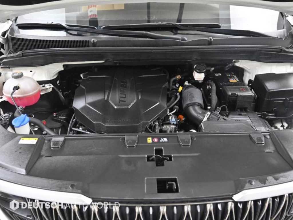 KIA Carnival - Vista 6