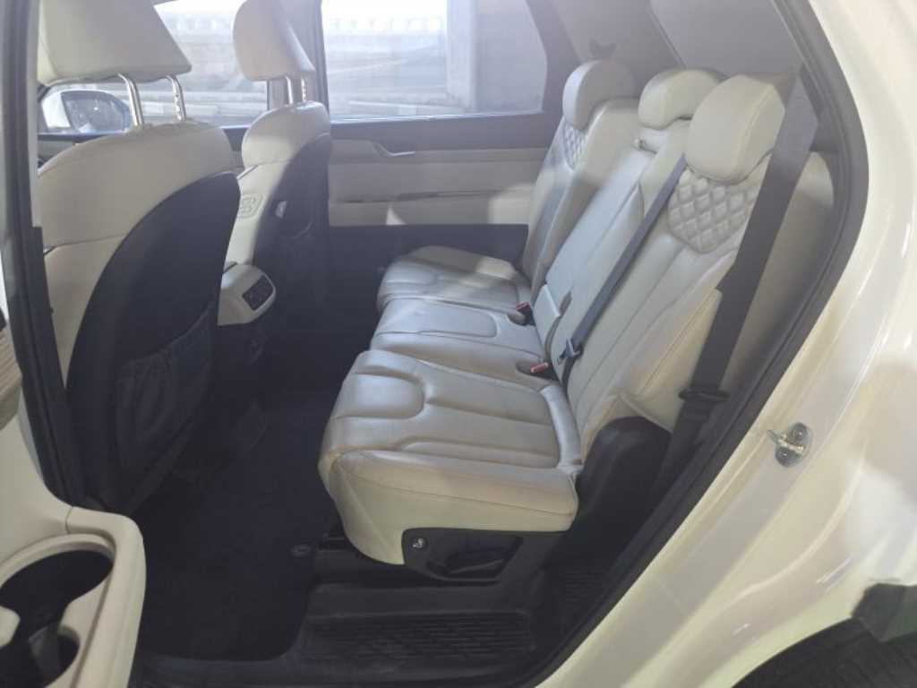 HYUNDAI Palisade - Vista 6