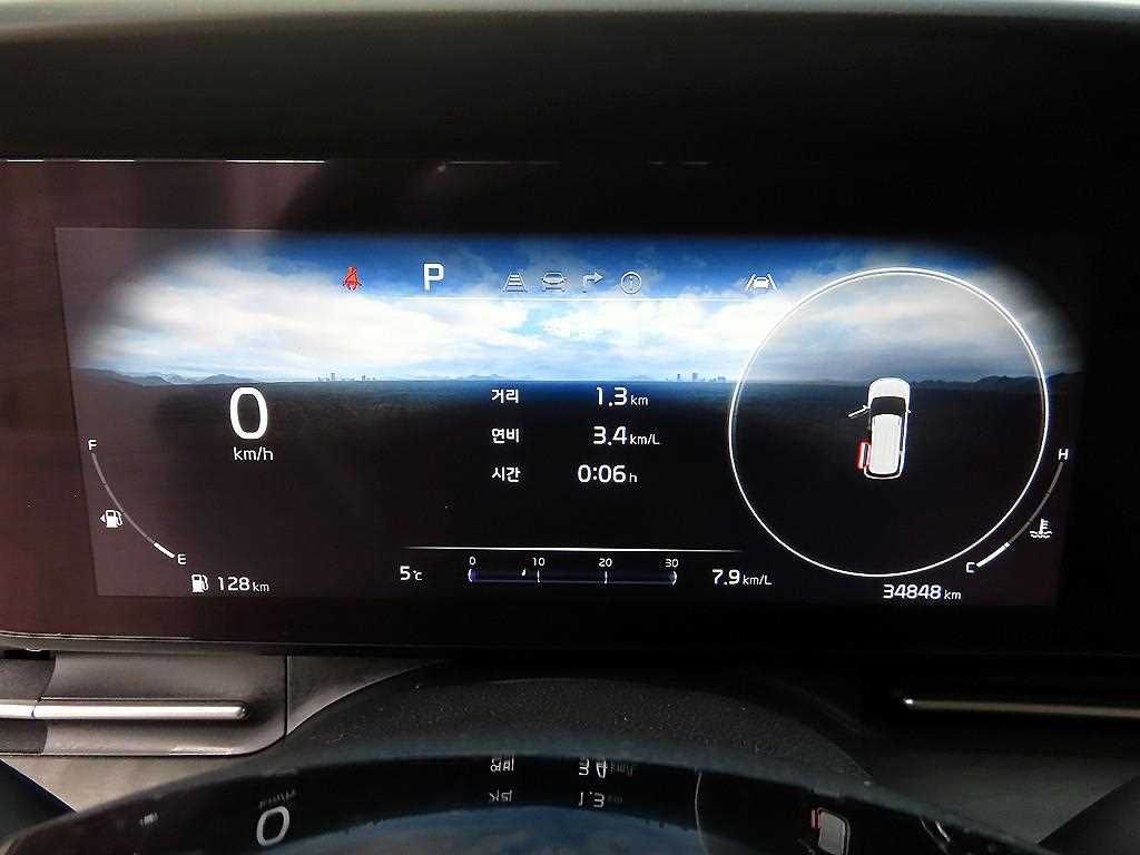 KIA Carnival - Vista 9