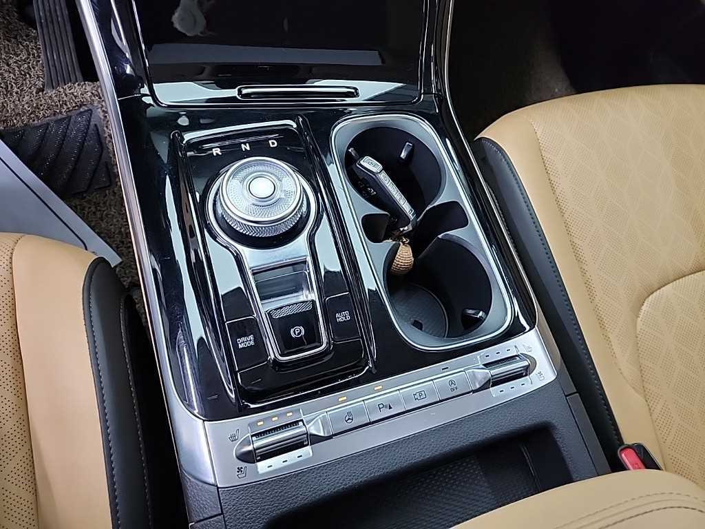 KIA Carnival - Vista 8