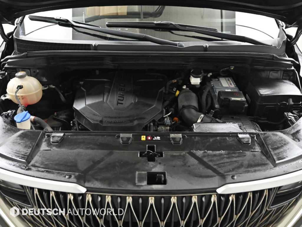 KIA Carnival - Vista 6