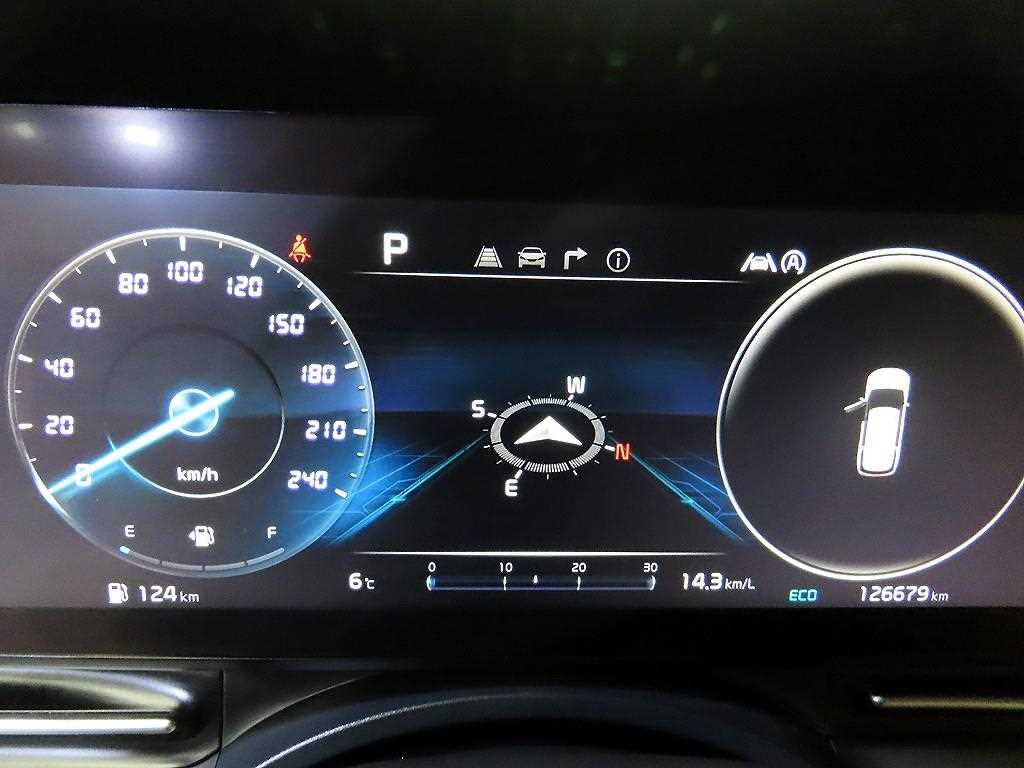 KIA Carnival - Vista 9