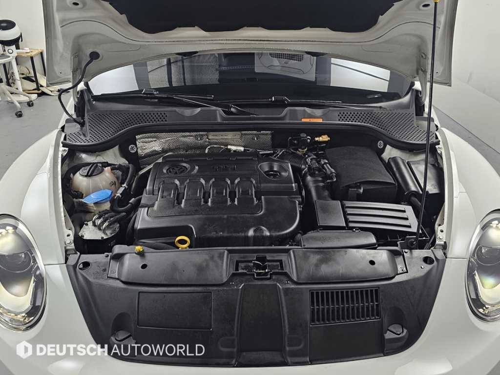 Volkswagen Beetle - Vista 6