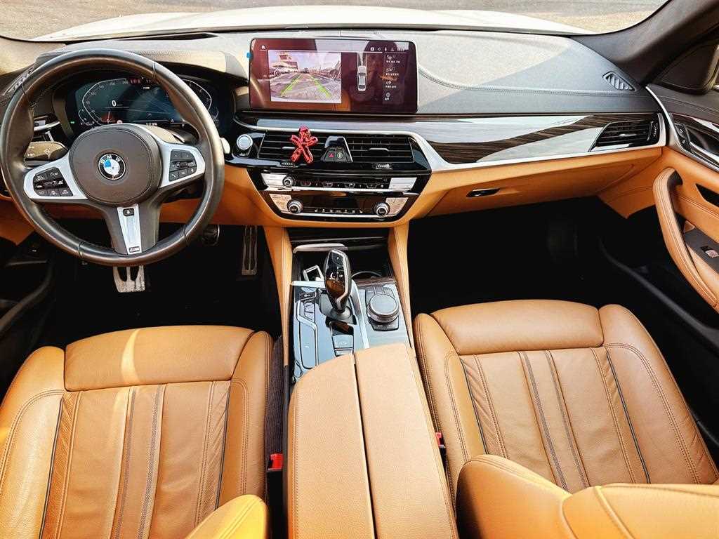 BMW 5 Series - Vista 5