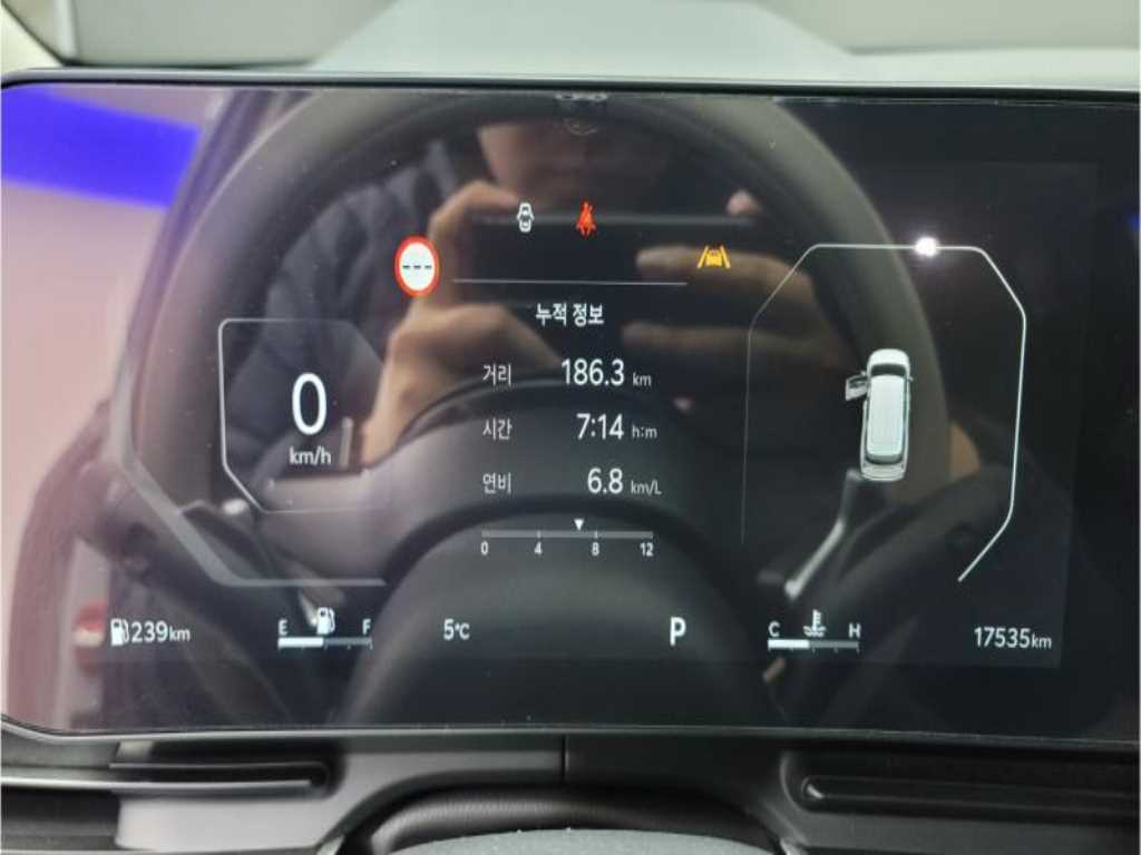 KIA Carnival - Vista 10