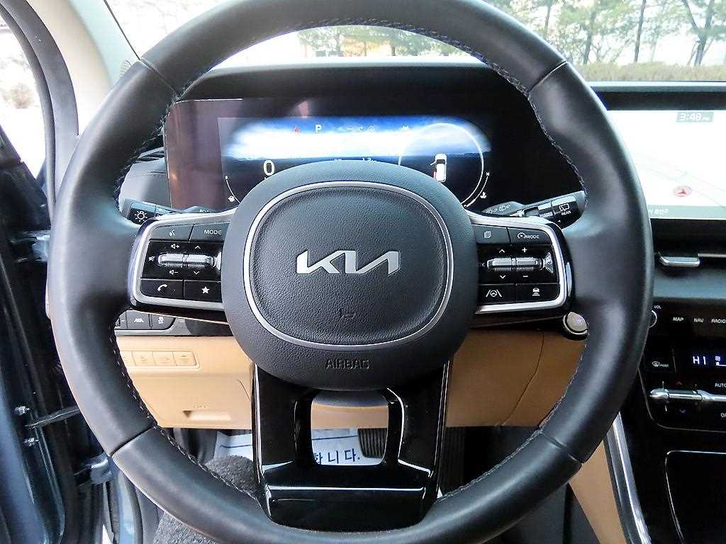 KIA Carnival - Vista 8