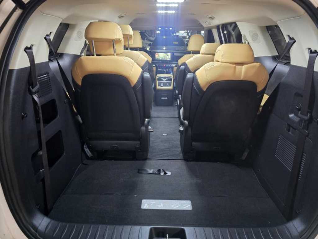 KIA Carnival - Vista 12