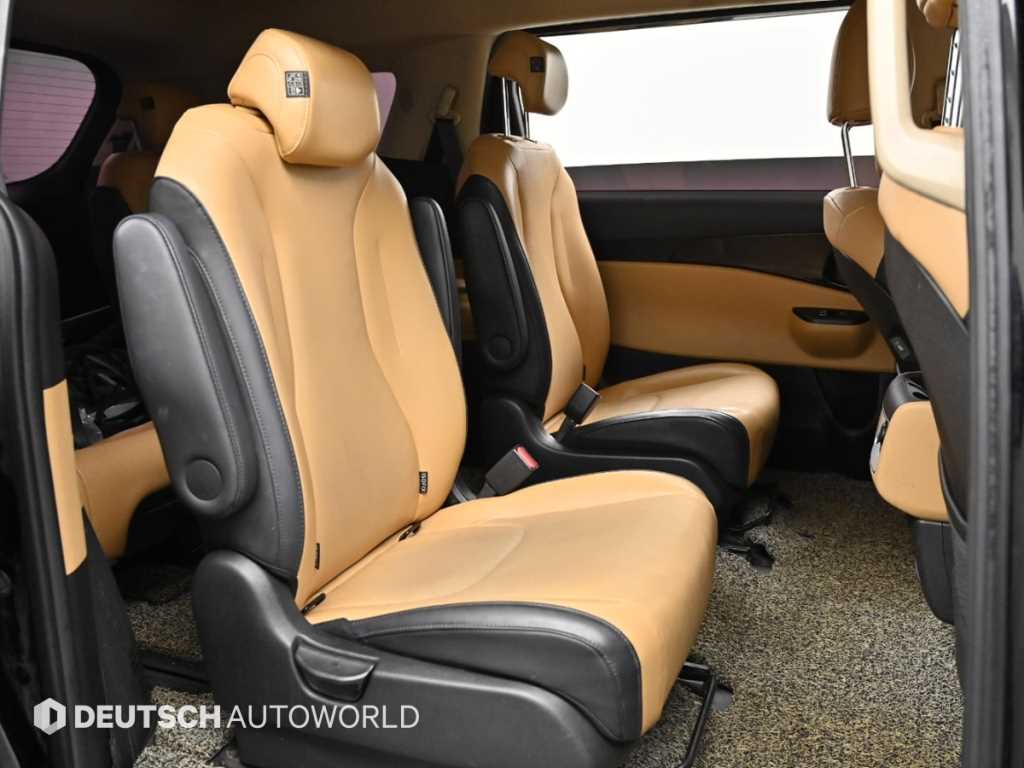 KIA Carnival - Vista 12