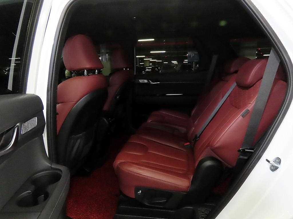 HYUNDAI Palisade - Vista 7
