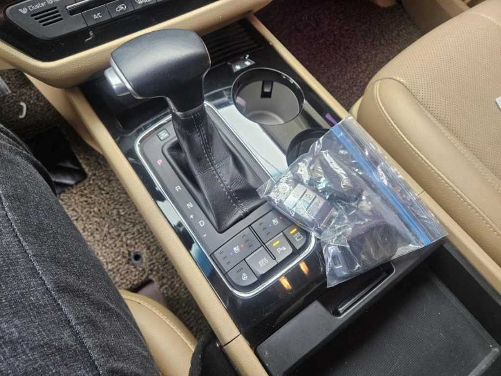 KIA Carnival - Vista 11