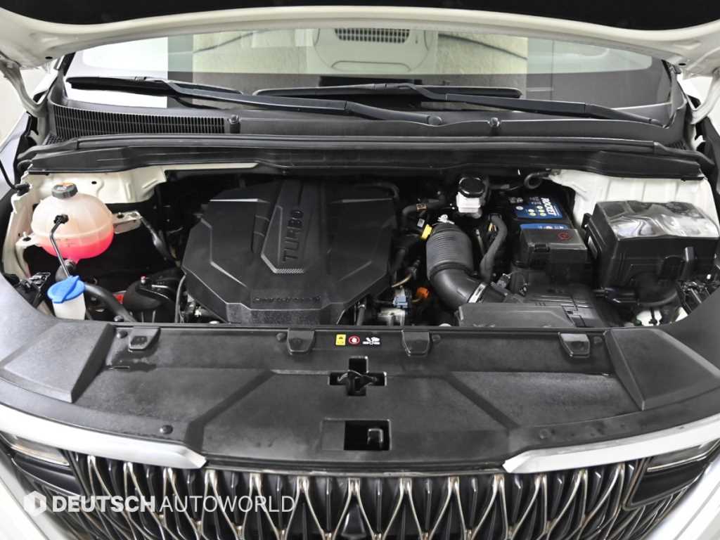 KIA Carnival - Vista 6