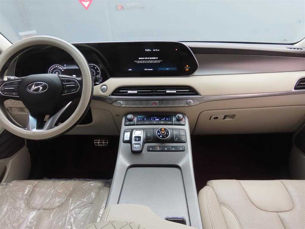 HYUNDAI Palisade - Vista 10