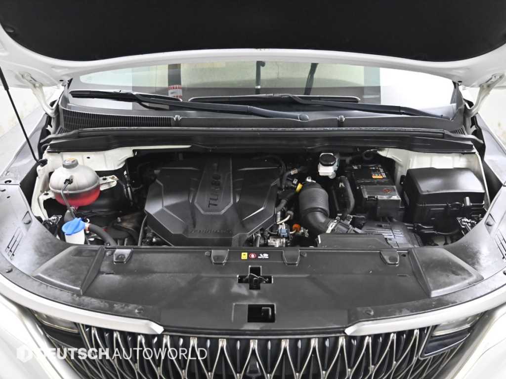 KIA Carnival - Vista 6