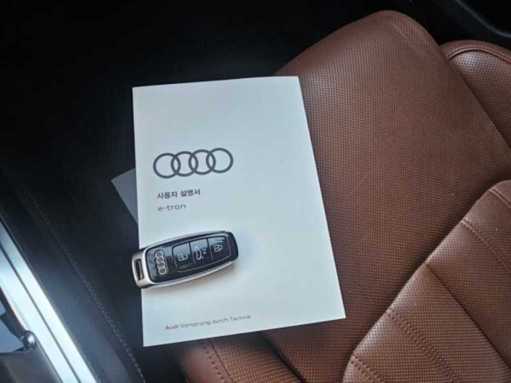 Audi e-Tron - Vista 7