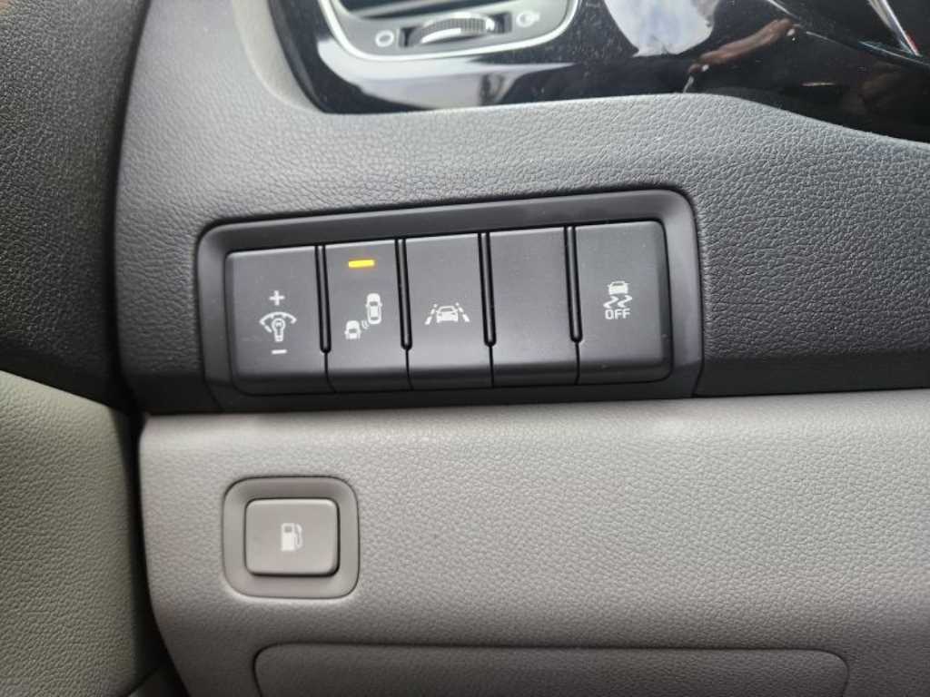 KIA Carnival - Vista 10